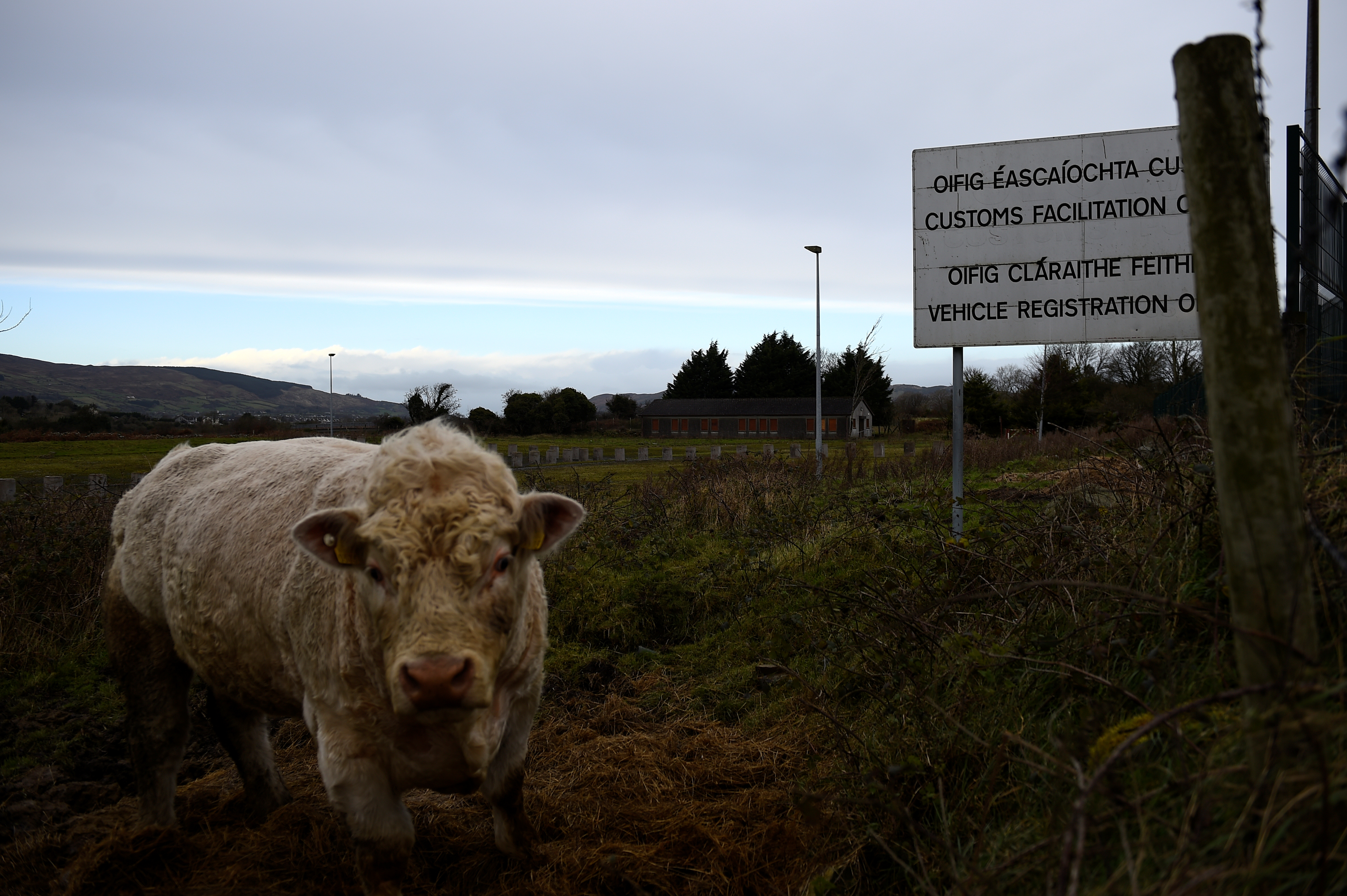 Brexit and the Future of Northern Ireland