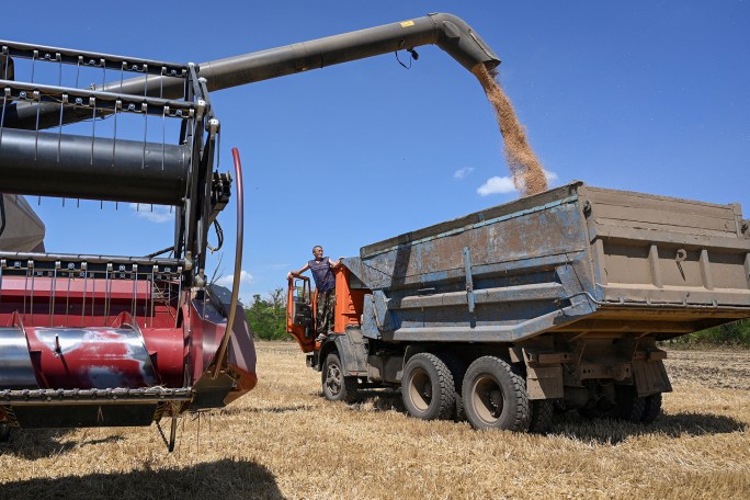 A combine loads a truck with wheat during harvesting in a field in the Rostov Region, Russia on July 14, 2026.